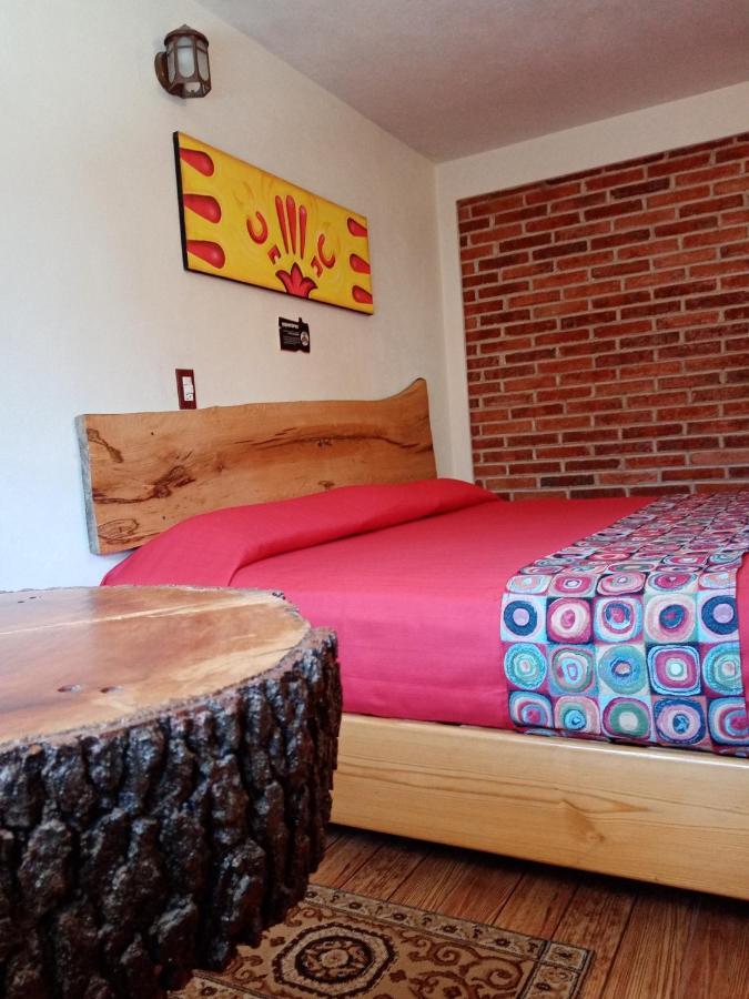 Hotel Tlatoani 奇格纳瓦潘 外观 照片